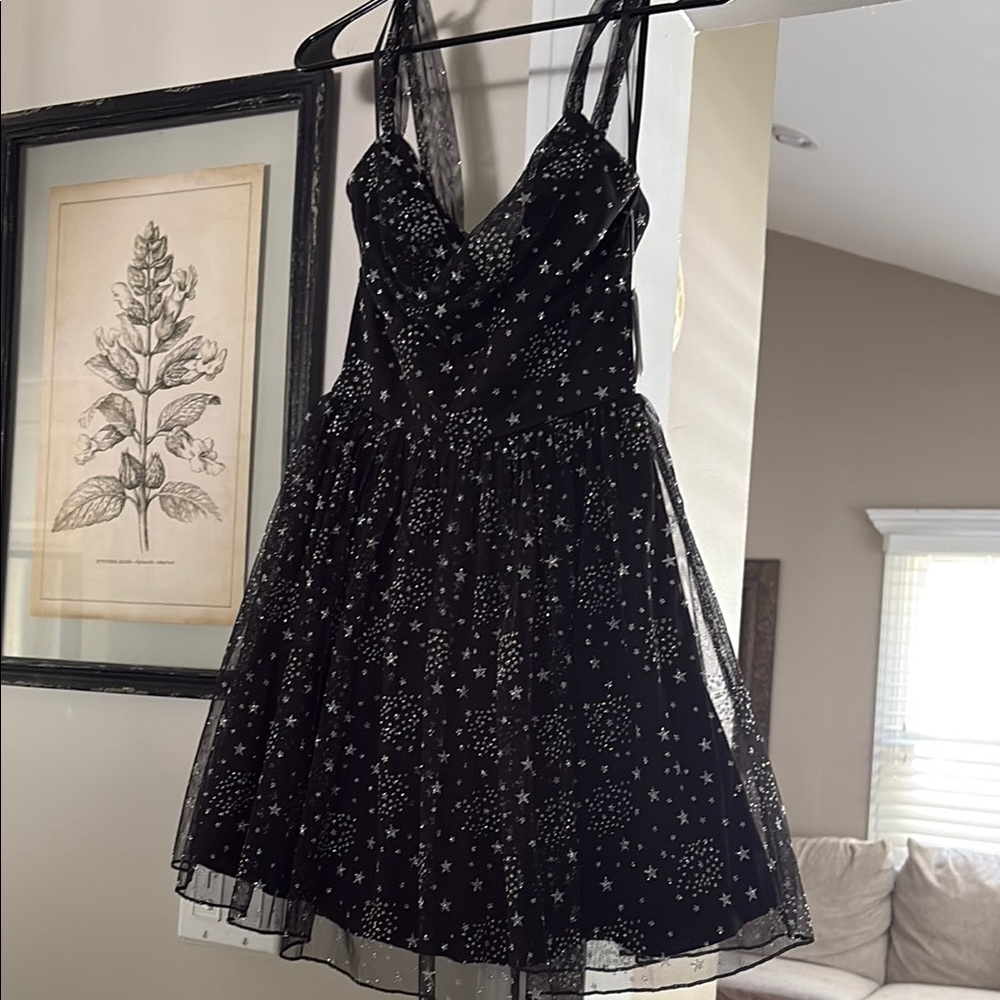 Windsor Holiday Dress xs- brand new with tags. Never worn